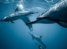 世界杯比赛在线观看平台-赛季末再来看!穆里略第99分钟在门线上压哨解围出曼城绝杀